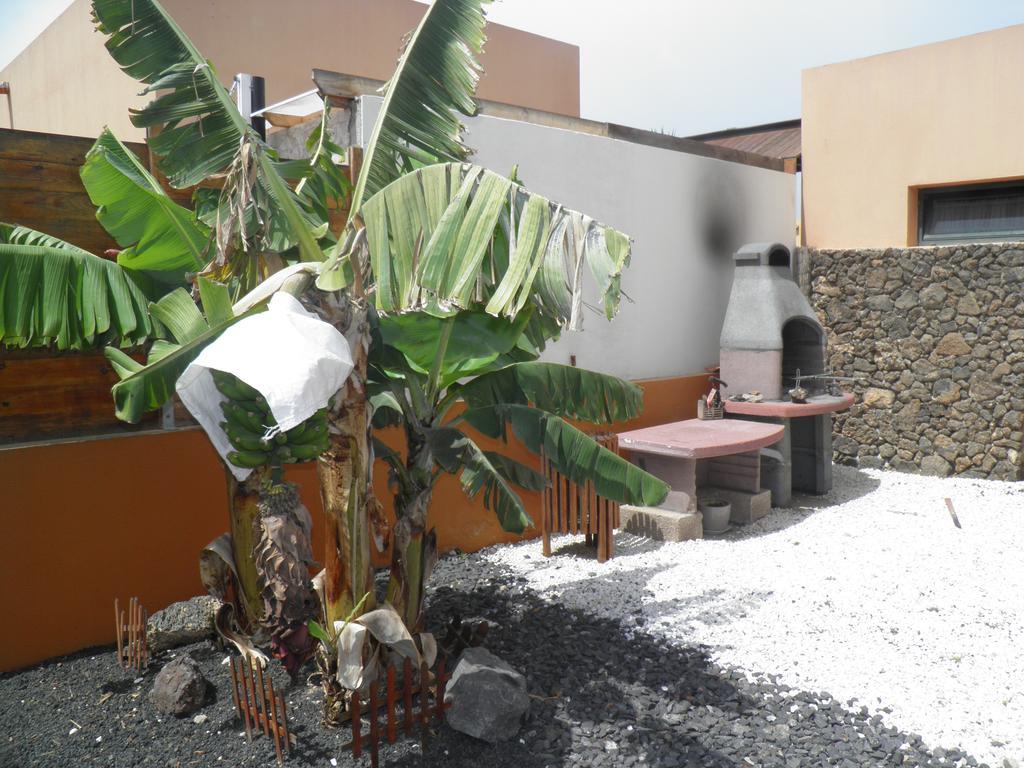 Tamaragua * La Oliva